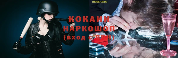 спиды Ельня