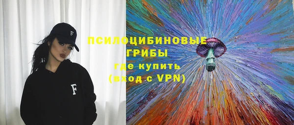 марки lsd Белокуриха