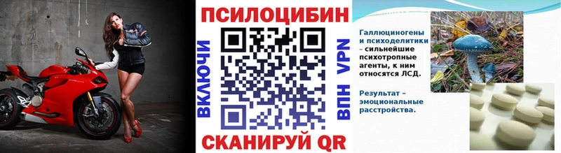 цена наркотик Валуйки Псилоцибиновые грибы Cubensis