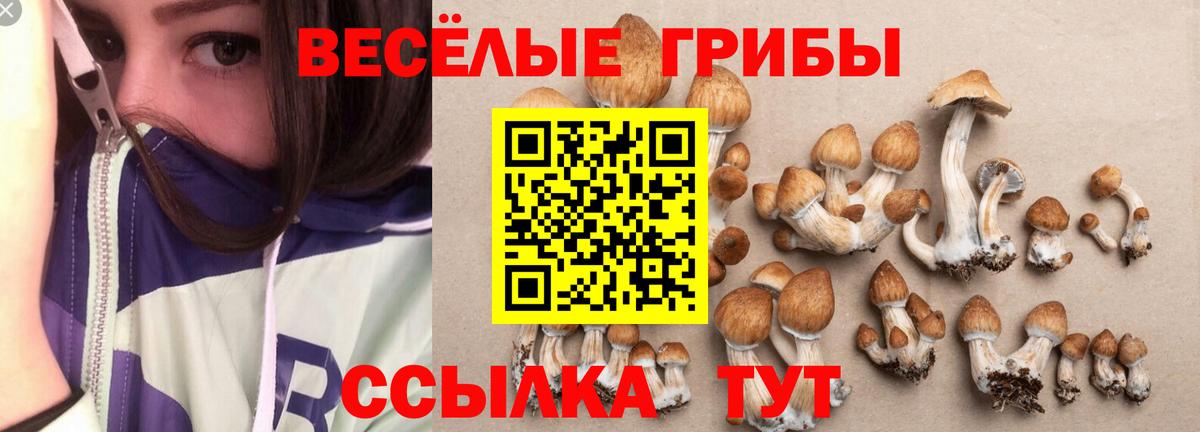 Валуйки  Галлюциногенные грибы Psilocybine cubensis  Вход с VPN 